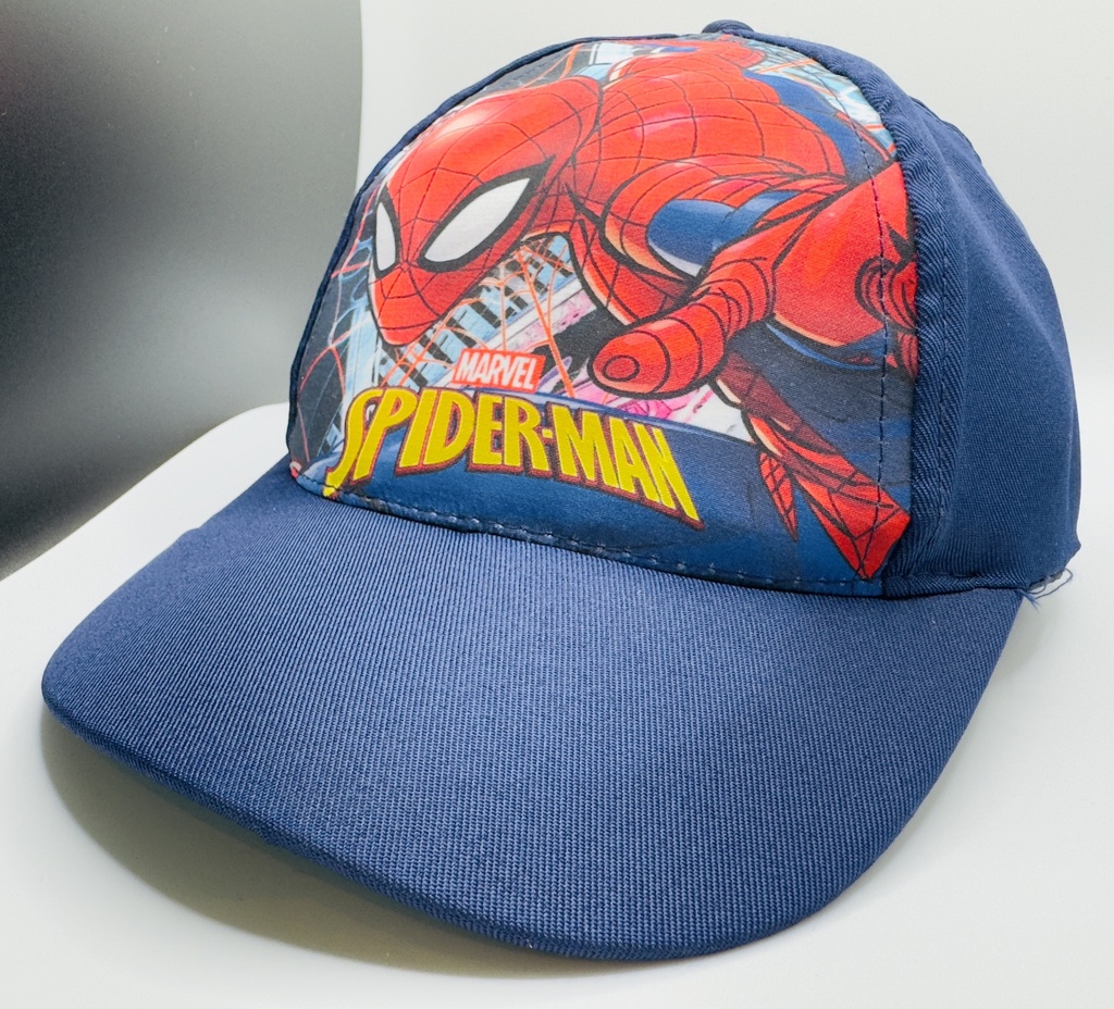 Kids pet Spider Man