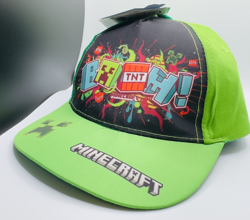 Kids pet Minecraft
