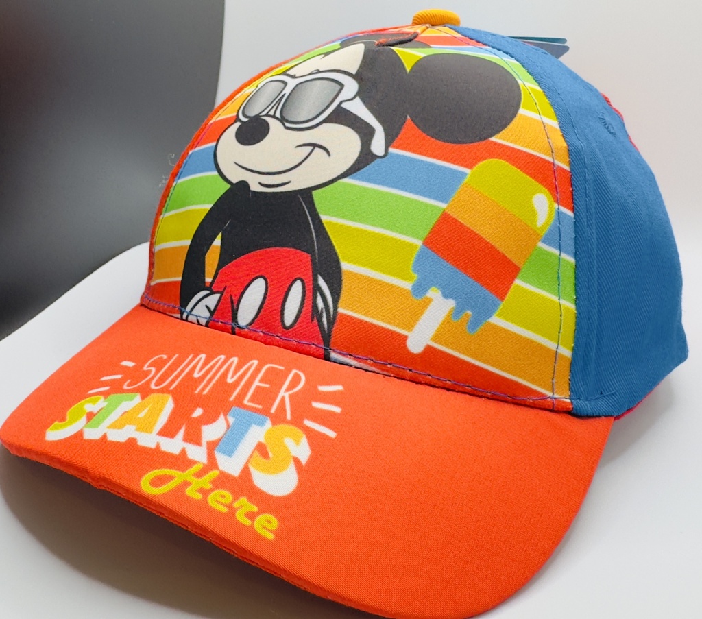 Kids pet Mickey