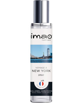 [400429] IMAO VAPO VOYAGE A NEW YORK