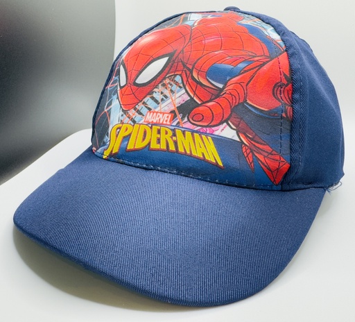 Kids pet Spider Man