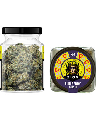 [70879] ZION H4CBD SUPER HAZE 3GR (POT EN VERRE)