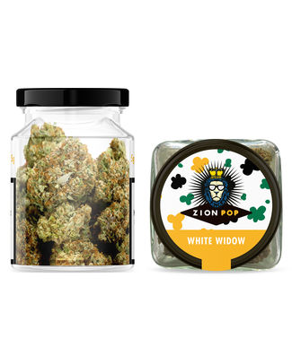 [70863] ZION POP WHITE WIDOW 5GR POT EN VERRE - 1